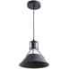 Подвесной светильник Arte Lamp Stark A9347SP-1BK0