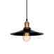 Подвесной светильник Loft IT Loft11020