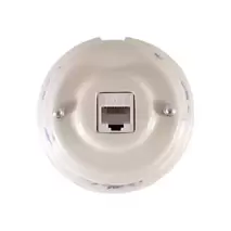 Ретро розетка компьютерная RJ 45 (cat.6), синие цветы, серебристая фурнитура, РК6ВС
