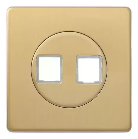 Монтажная плата для 2-го инф. разъема RJ-45 (без разъема), Brushed Brass, Z1EGD2B