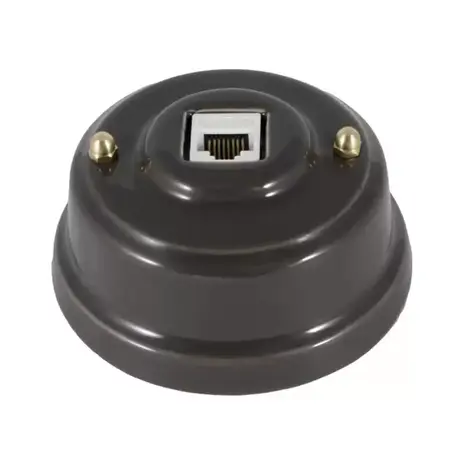 Ретро розетка компьютерная RJ 45 (cat.6), серый, золотистая фурнитура, РК6СЗ